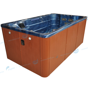 Spa de nage extérieur avec filtre Home Funiture Swim Pool|JOYEE