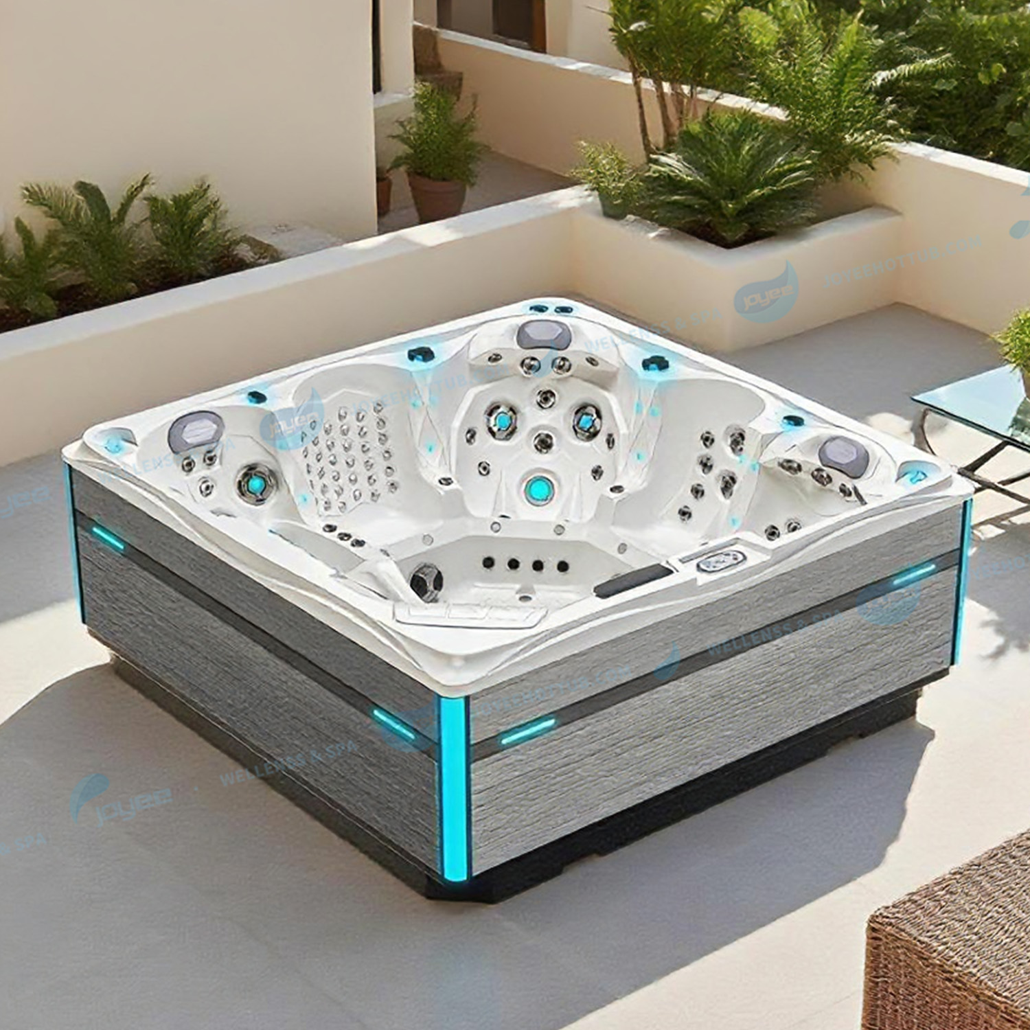 California Spa Back